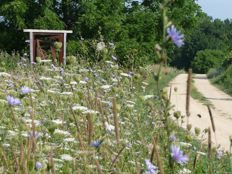 Photo 2 from LINDA AND GENE FARLEY CENTER FOR PEACE JUSTICE AND SUSTAINABILITY I